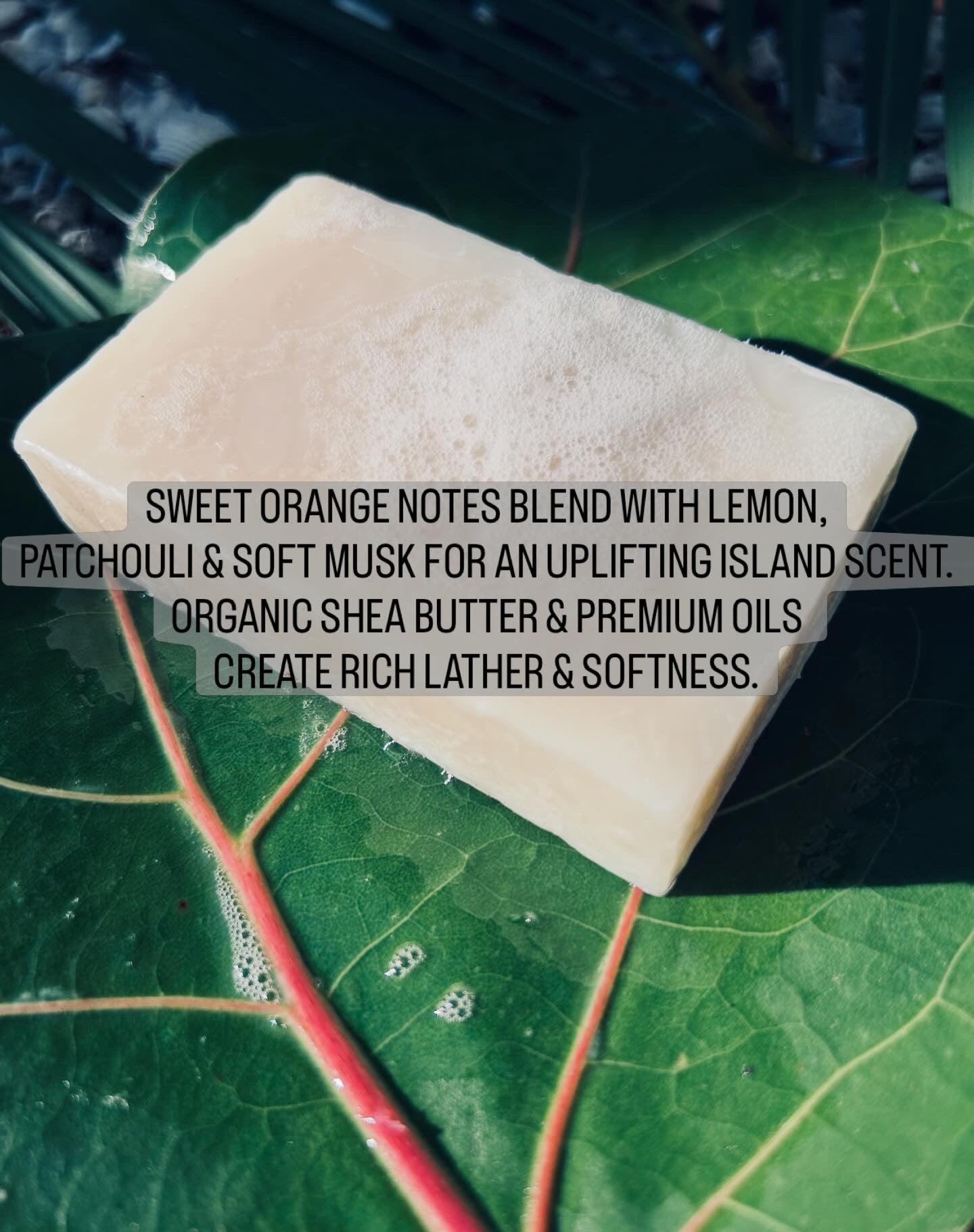Dawn Patrol All Natural Cold Process Bar Soap 4.5 oz